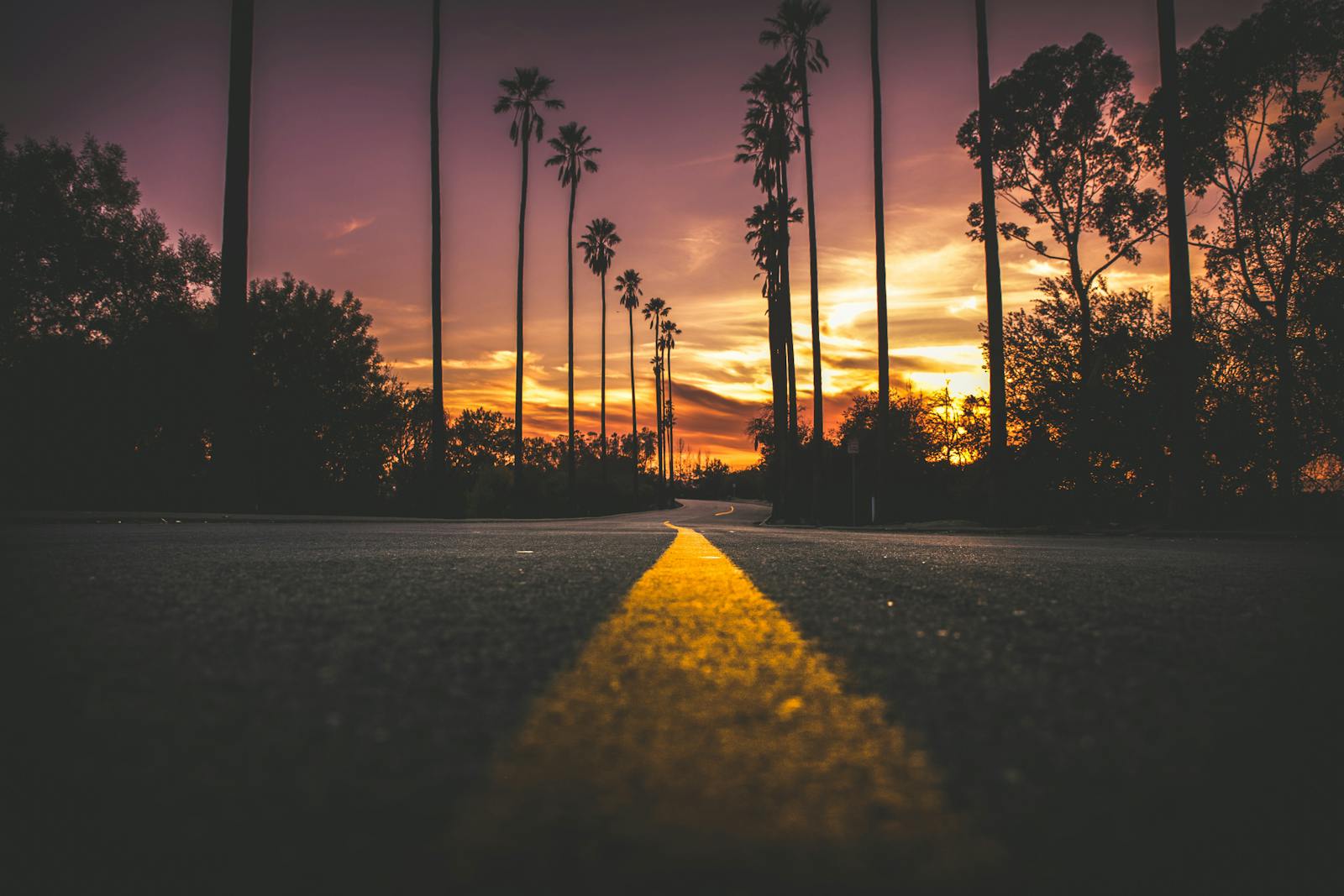 Road in City during Sunset, Los Angeles, California